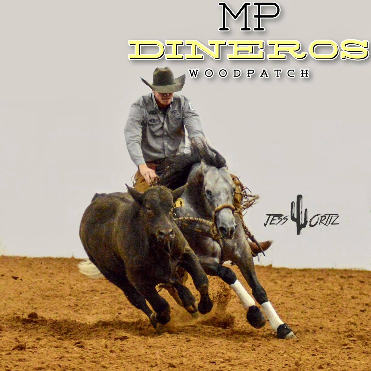 MP Dineros WoodPatch